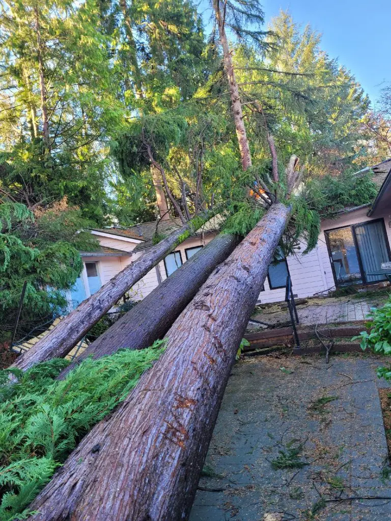KSA Restore - Residential Restoration Services